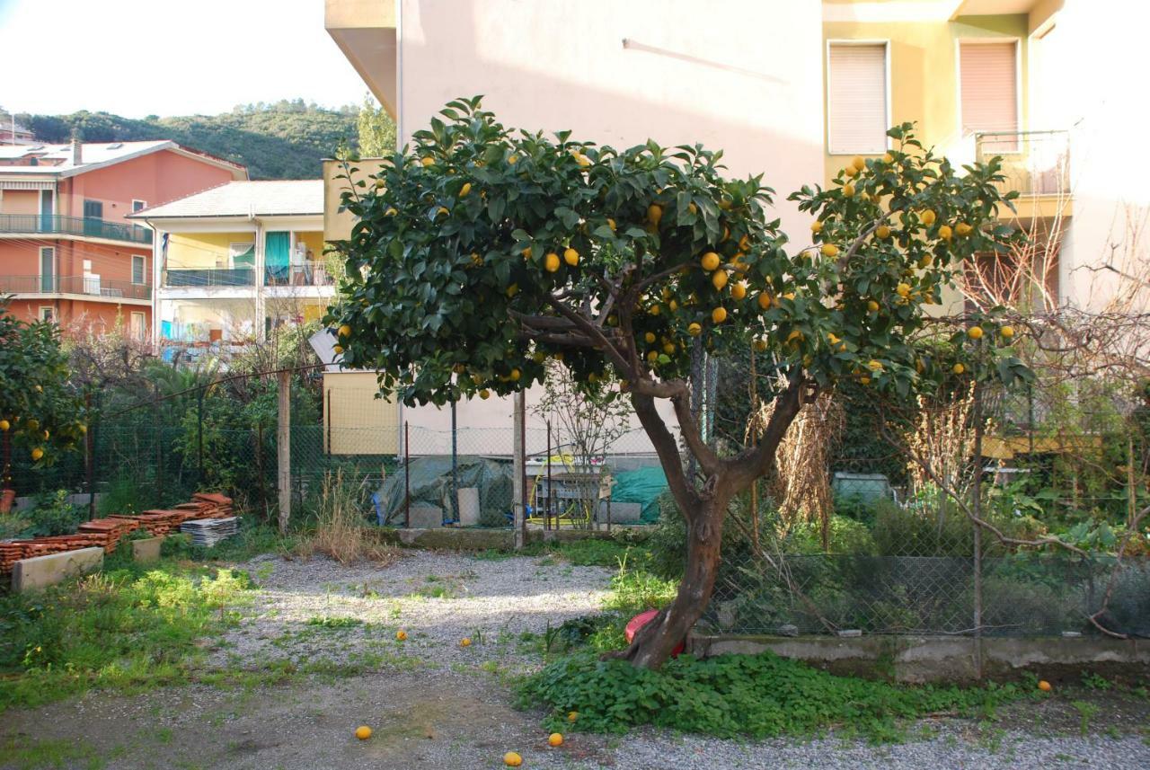 Ferienwohnung Palmaria Deiva Marina Exterior foto
